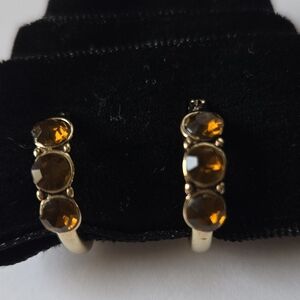 Elegant Gold and Brown Stone Earrings